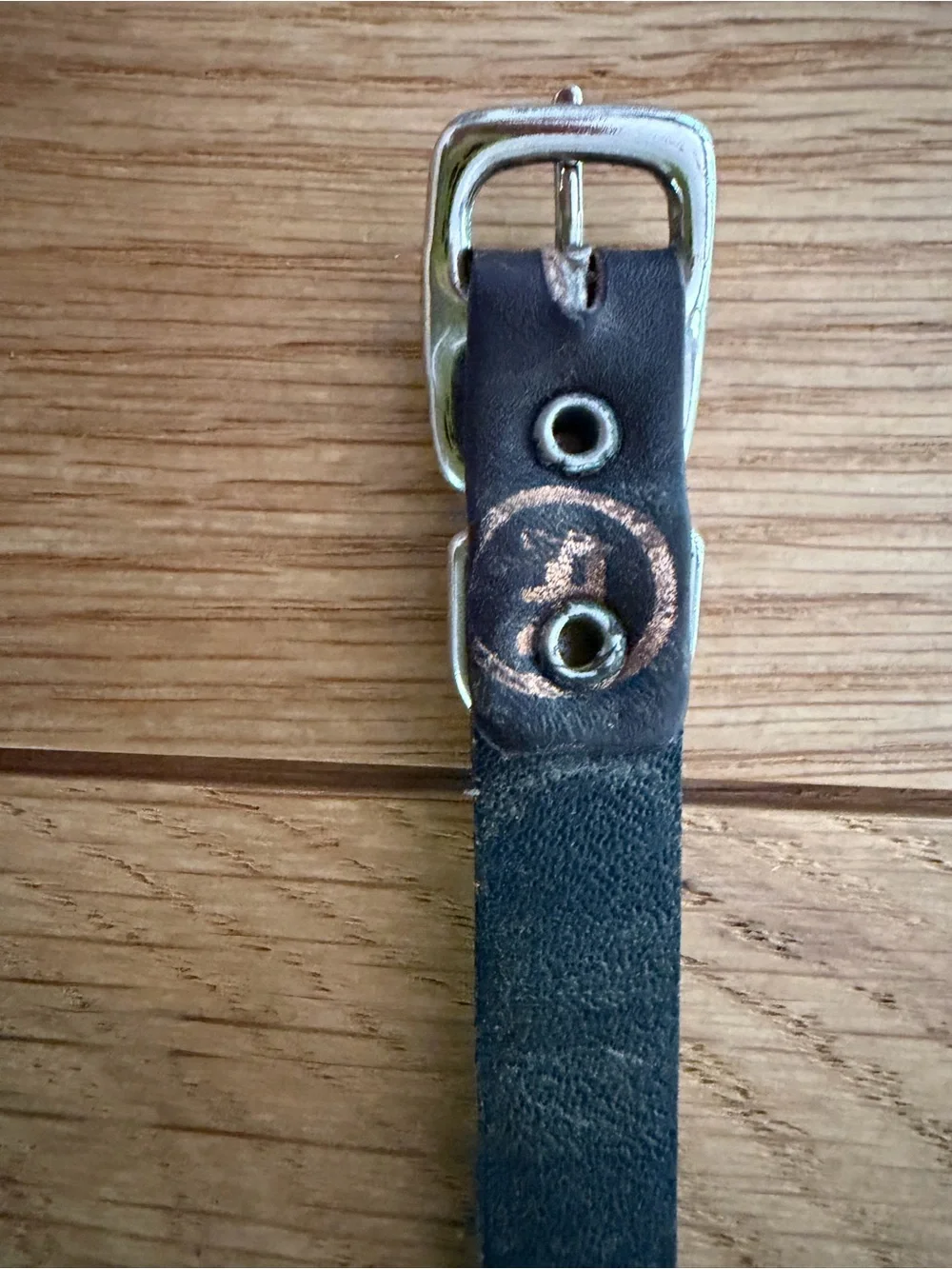 Black Leather Dog Collar with Turquoise - for small dog or puppy 12